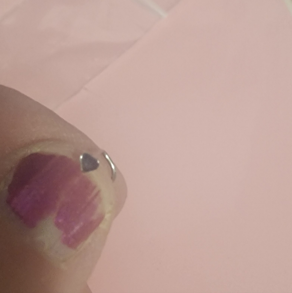 Nose Rings - Picture 2 of 6